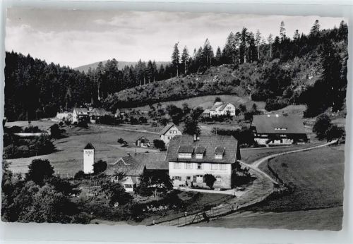 Erbersbronn Gasthaus zum grünen Wald