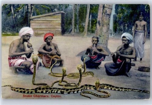 Ceylon , Schlangenbeschwörer