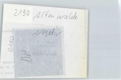 Altenwalde Negativ