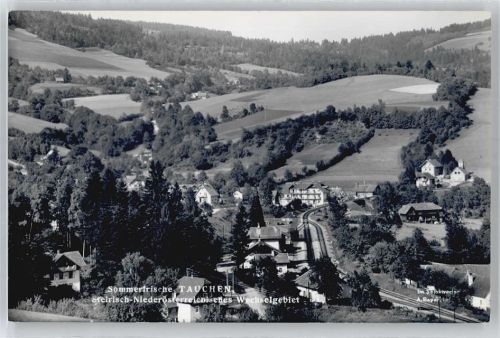 Tauchen