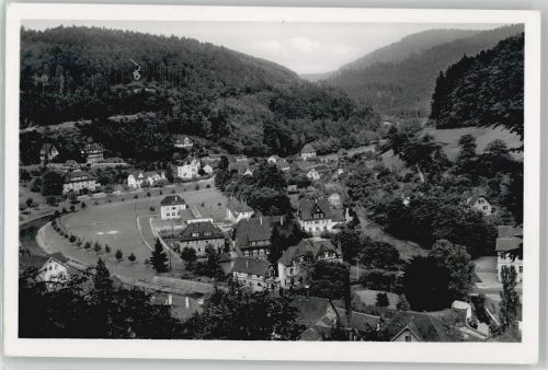 Neuenbürg
