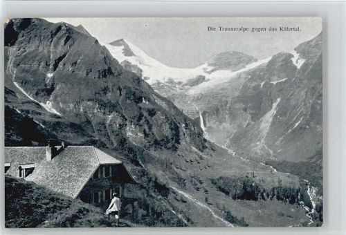 Trauneralm Trauneralpe gegen Käfertal
