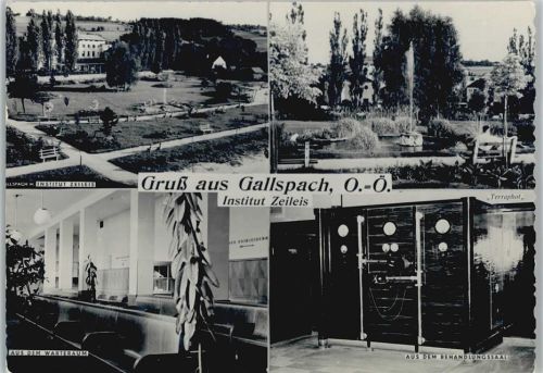 Gallspach Institut Zeileis