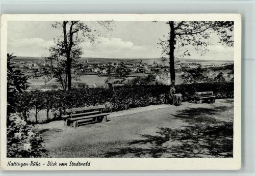 Hattingen Blick vom Stadtwald