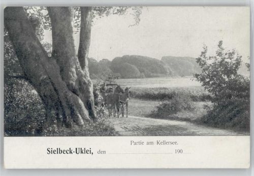 Uklei Kellersee