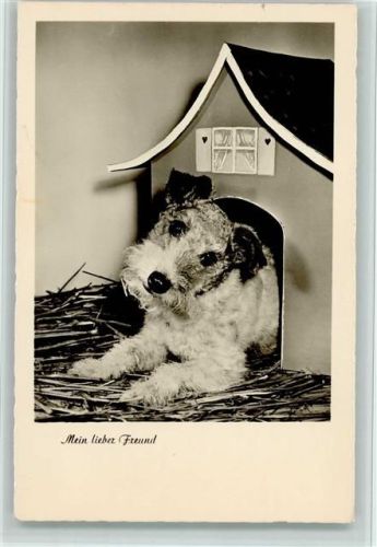 Hund in Hundehütte