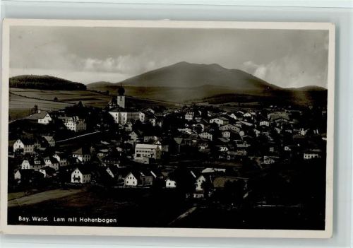 Lam Ortsansicht mit Hohenbogen