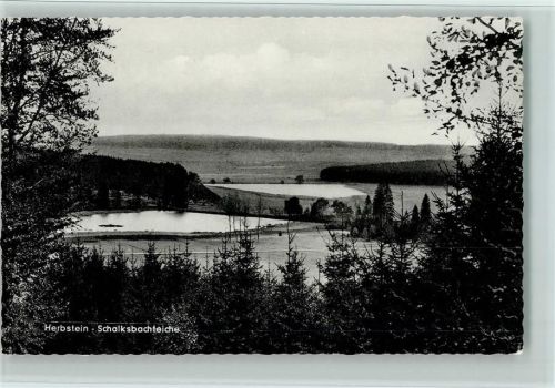 Herbstein Schalksbachteiche