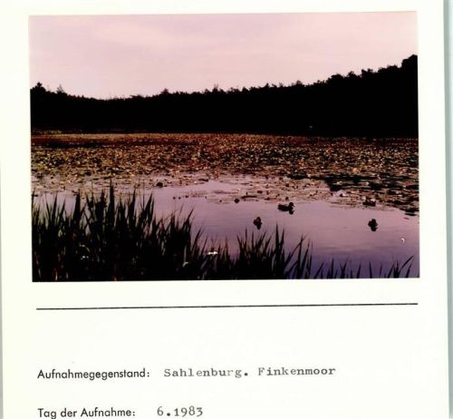 Sahlenburg Finkenmoor Seerosen Foto montiert auf Karton