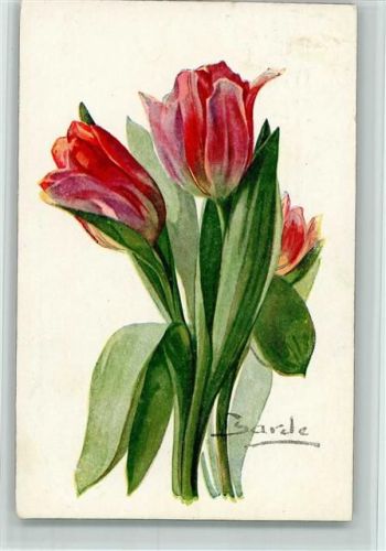Nr. 521 sign Barde - Tulpen Blumen 1920 Color Paris AK