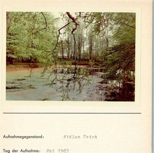 Midlum Teich Foto montiert auf Karton