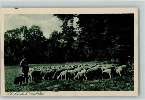 Schäfer mit Hund und Schafherde