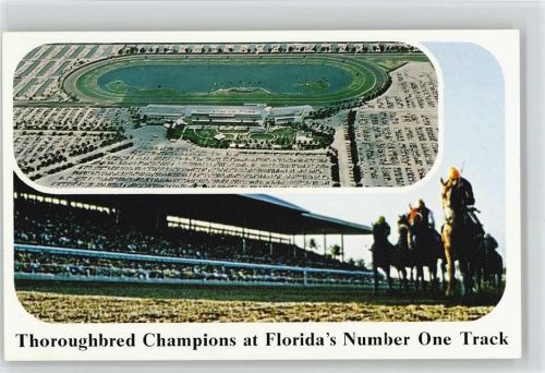 1970 - 1980 Florida Gulfstream Park Handicap USA Golf