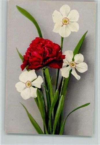 1927 Nelken und Osterglocken, Photochromie , Verlag Paul Bender, AK