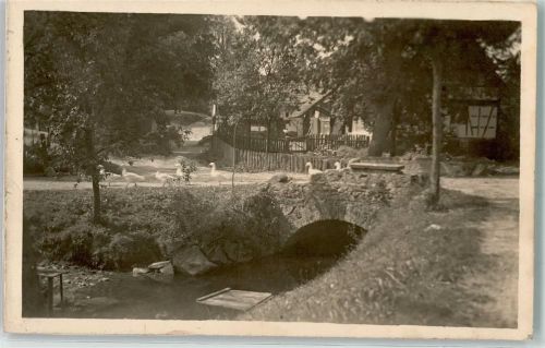 Photo Gänse nicht Obersasbach