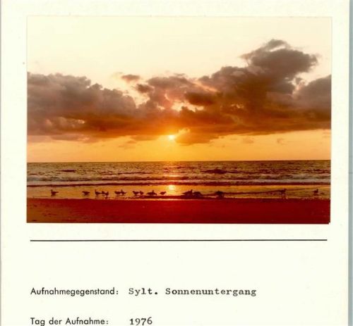 Sonnenuntergang Möwen Foto montiert auf Karton Natur FOTO KEINE AK