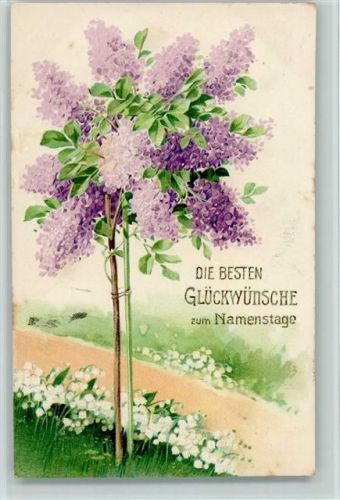 1907 Namenstag - Fliederbaum , Verlag Erika 2962 AK