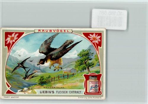 1898 Wanderfalke, Sammelbild Liebig