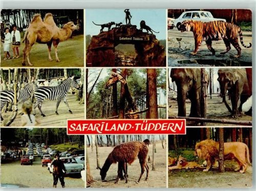 Tüddern Safariland Zebras Kamel Tiger Giraffe Elefanten Löwe Rückseite mit Abschürfungen bzw Kleberesten