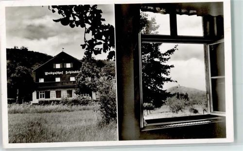 Falkenstein Gasthof Pension Schönblick