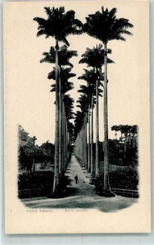 Rio de Janeiro 1899 Jardim Botanic AK
