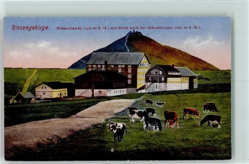 Wiesenbaude