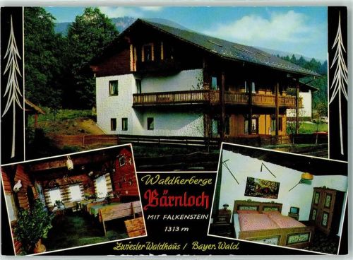 Zwieslerwaldhaus Rückseite mit Abschürfungen bzw Kleberesten Gasthaus Bärenloch