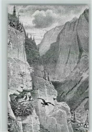 IV Adlerfang zu Waidring in Tirol 1864 - Scan zeigt leider das Raster ,gute Erhaltung AK