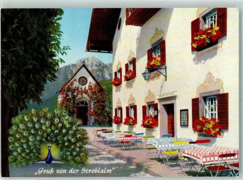 Anger Strobl - Alm Pfau