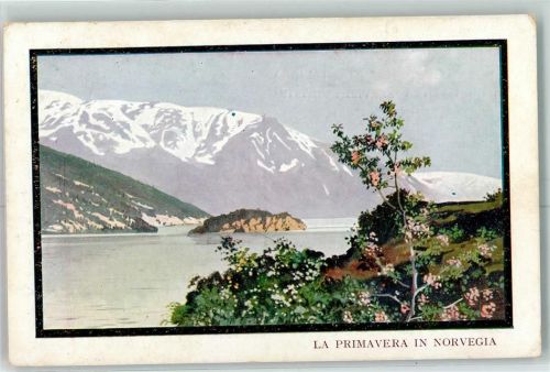 Geiranger Fjord