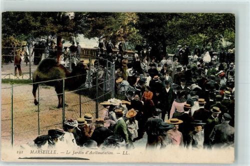 Marseille 1904 Le Jardin Acclimatation Zoo AK