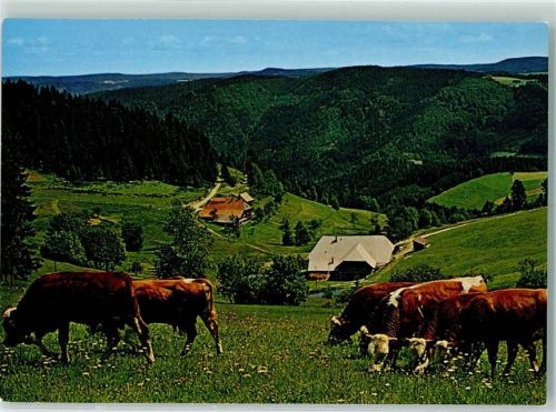 Schonach