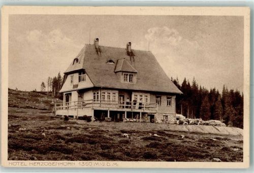 Herzogenhorn Hotel Herzogenhorn