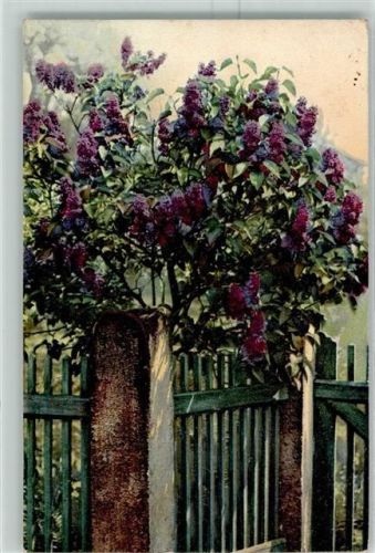 1906 Photochromie AK