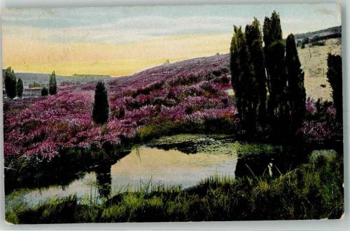Bispingen 1918 Luhequelle Lüneburger Heide