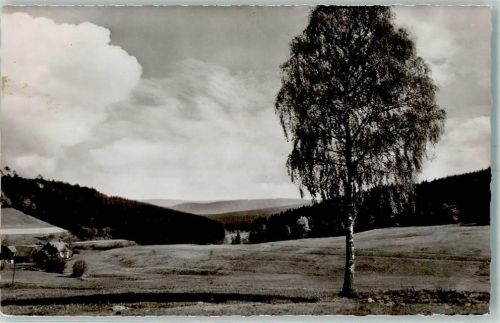 Vielbrunn Einsame Braut