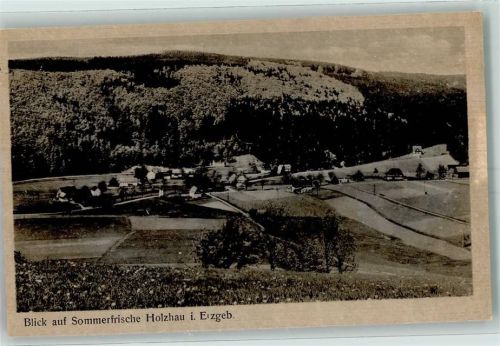 Holzhau