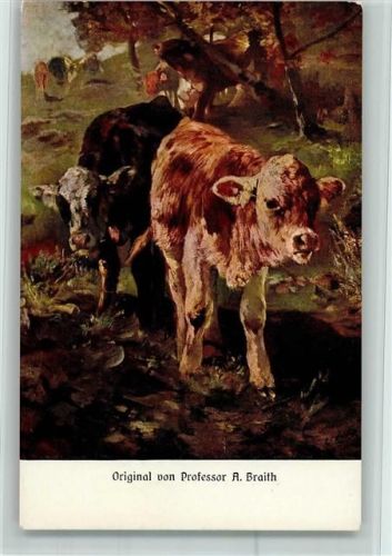 Nr. 204 - sign Braith - Landwirtschaft Kühe, Kälber