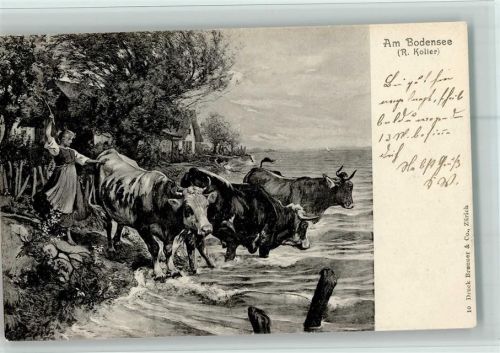 Nr. 10 Verlag Brunner & Co , Kühe - Am Bodensee , gute Erhaltung