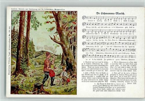 Verlag Vogel Nr. 20 - Pilze sammeln, gute Erhaltung AK Erzgebirge Liederkarte