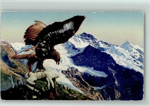 1925 Serie I Nr. 1 - Adler mit einem Schaf als Beute AK
