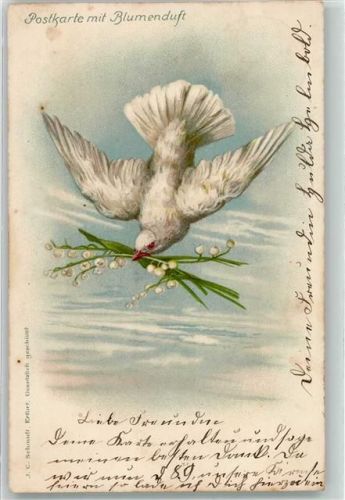 Maiglöckchen Brieftaube Verlag C. Schmidt