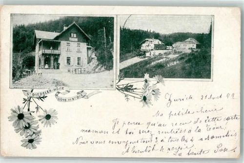 88100 Saint-Die-des-Vosges 1899 - St. Diedeler Höhe Cote de St. Die
