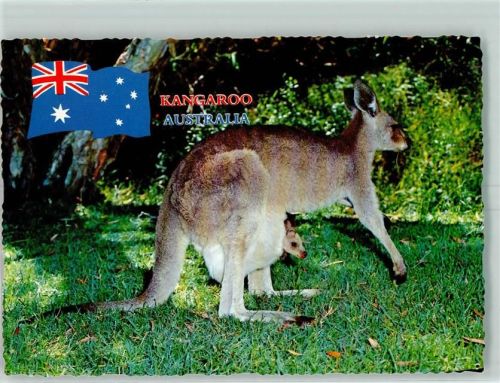 Kangaroo AK