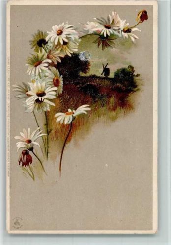 1898 Mondschein Postkarte Serie XV - Margeriten Blumen