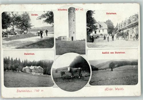 98711 O6315 Schmiedefeld am Rennsteig - Hotel Stutenhaus Aussichtsturm Adlerberg Rinder