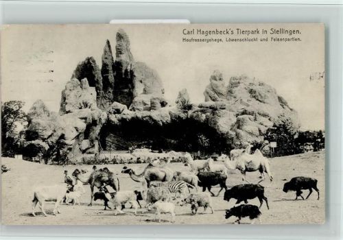 1913 Nr. 173 Heufressergehege, Löwenschlucht - Verlag Hagenbeck