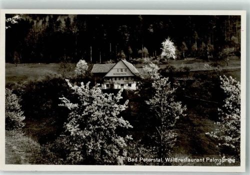 Bad Peterstal Gasthaus Palmspring
