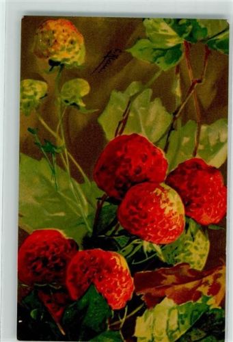 Nr. 529 Pastell Erdbeeren