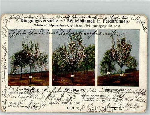 Volldüngung mit Kali - Düngungsversuche Düngerwerbung 1902 Gebrauchsspuren